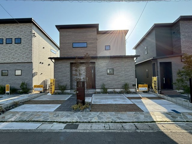 ピークス山の田中央