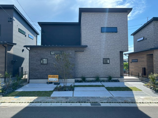 ピークス山の田中央