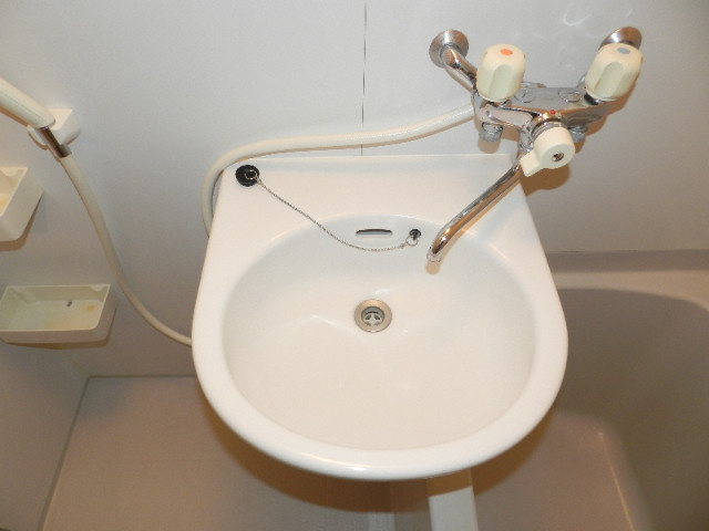 グリーンハイツの洗面所