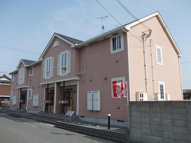 レインボーＴ．Ｓの画像