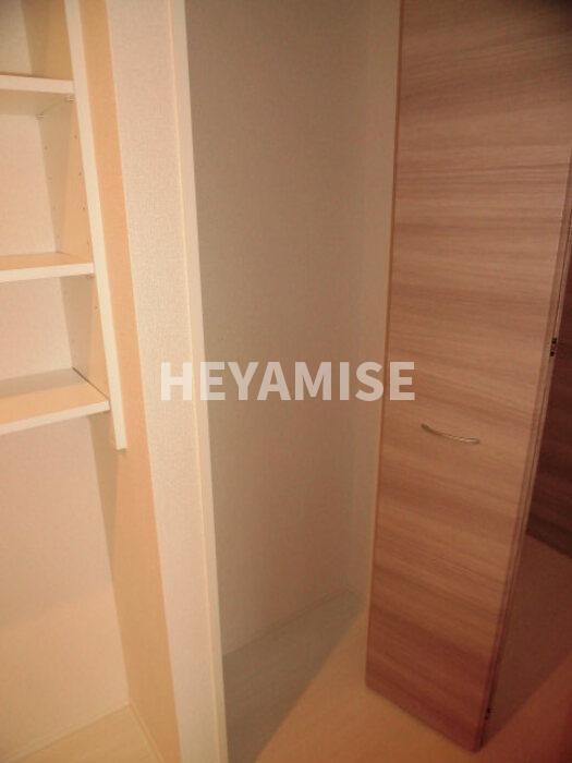 ウィットシバタⅡのその他