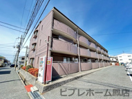 パラディアンフレールの画像