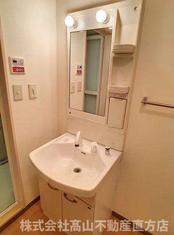 グランドシャトーⅡの洗面所