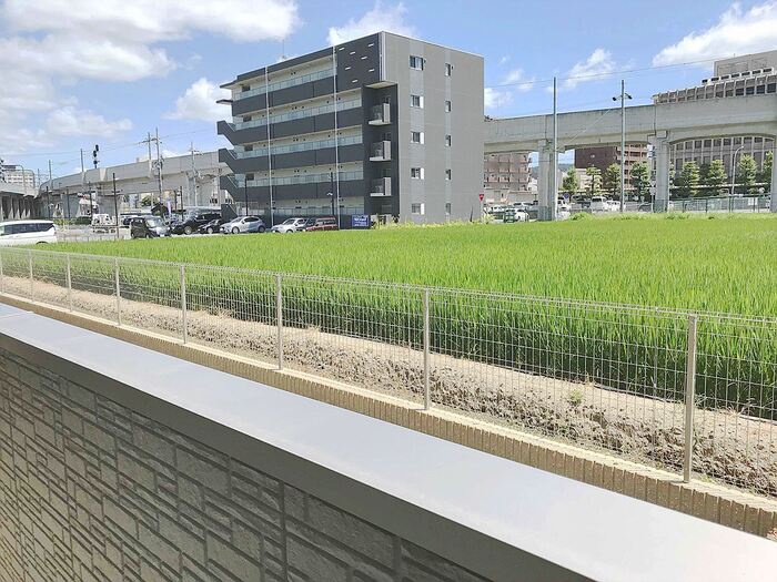 ベルヴェールの展望