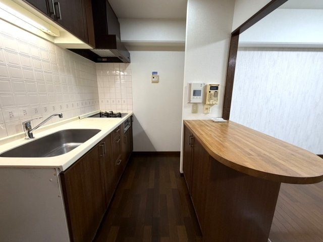 ペットと暮らせるリゾートマンション　ニューステージ川奈のキッチン|カウンター付きです