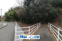 東須恵字林ノ尾（122坪）山林の画像