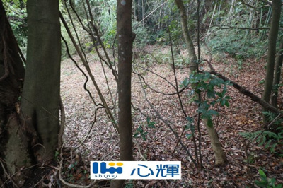 【外観】 | 東須恵字林ノ尾（122坪）山林 | 現地（2025年3月5日撮影）