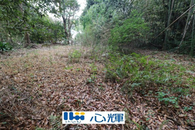 【外観】 | 東須恵字林ノ尾（122坪）山林 | 現地（2025年3月5日撮影）