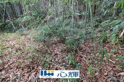 【外観】 | 東須恵字林ノ尾（122坪）山林 | 現地（2025年3月5日撮影）