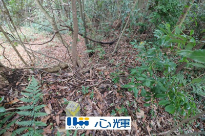 【外観】 | 東須恵字林ノ尾（122坪）山林 | 現地（2025年3月5日撮影）