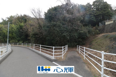 【前面道路含む現地写真】 | 東須恵字林ノ尾（122坪）山林 | 現地（2025年3月5日撮影）