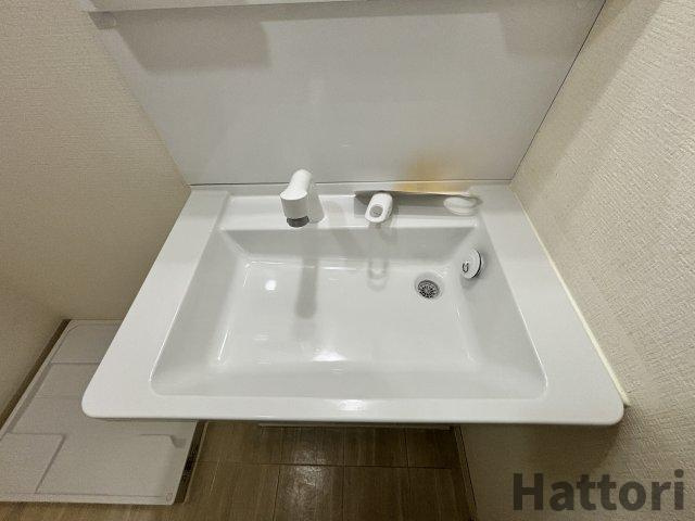 ヴィラウッドランドⅡの洗面所