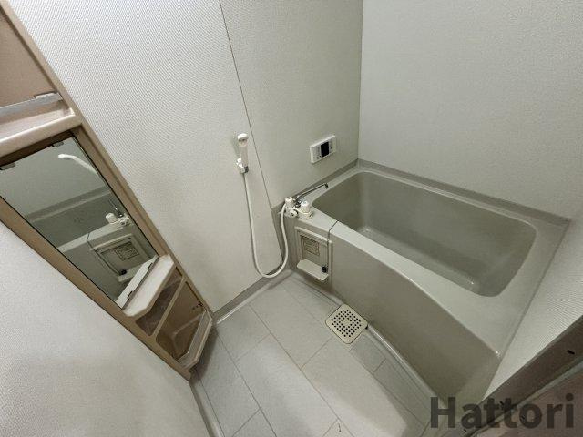 ヴィラウッドランドⅡの浴室