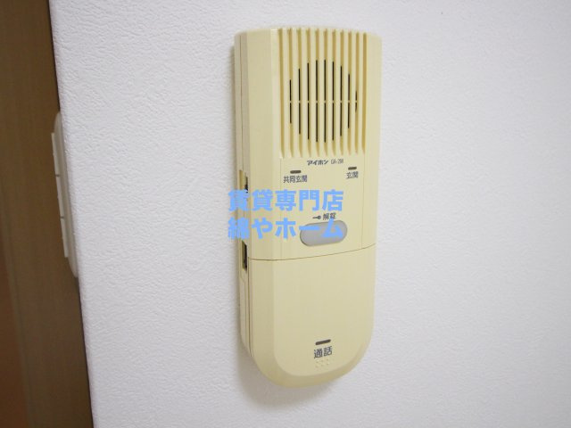 FDSamoreのセキュリティ