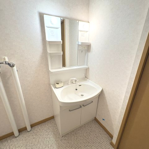 東町グレイスタウンＥの洗面所