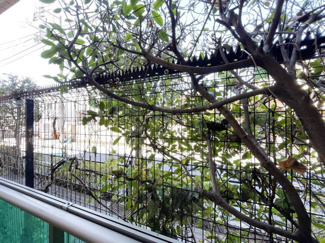 【展望】 | お部屋からの眺望。バルコニーからの景色です～即日のご見学可能～　お問合せはお気軽にどうぞ。
