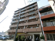 マンスフィールド桃谷の画像