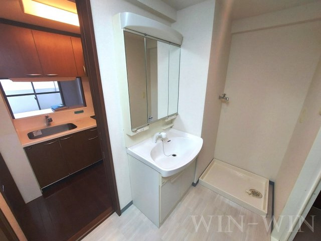 トゥルク・パレスの独立洗面台