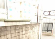 プリンツの展望