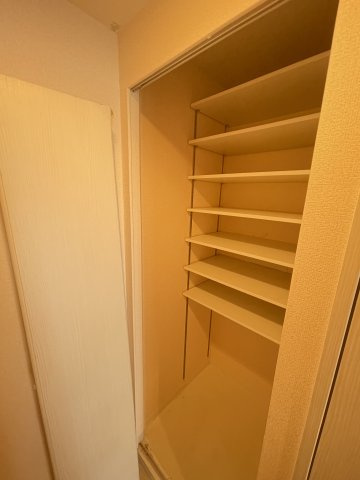 ロイヤルレジデンス北梅田の収納