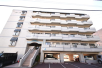 プラトー星の画像