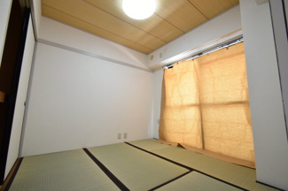 【その他】 | プラトー星