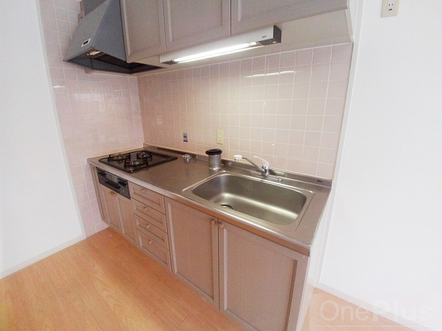 プリメーラリヨンのキッチン