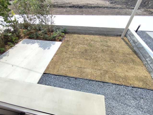 フリージア一色の庭