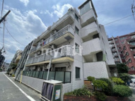 カスティル松葉の画像