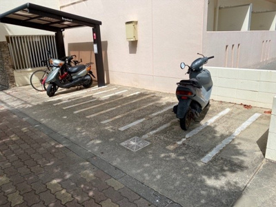  | ラウレア