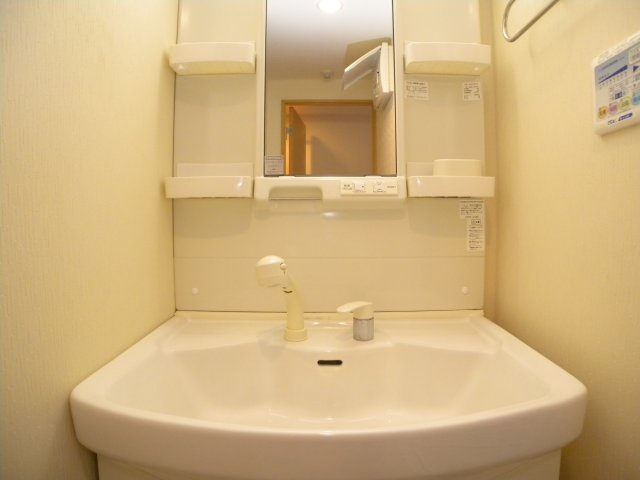 カーサフェリースの洗面所