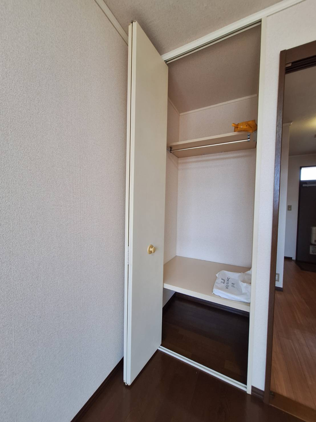 シティハイム　リラビスタの収納