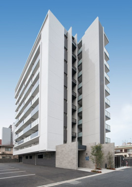 ウィリングコージーの画像