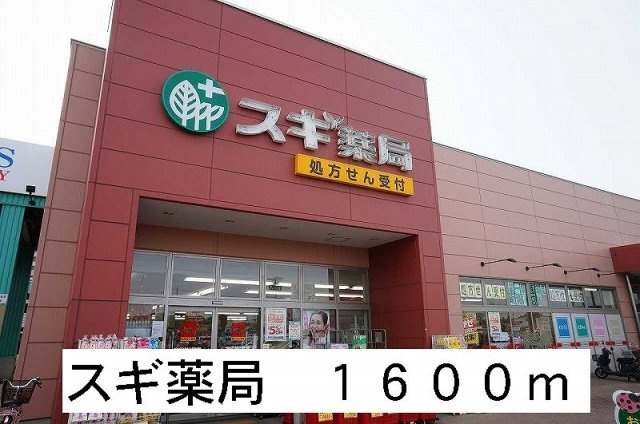 カーサグランデⅡの周辺|スギ薬局まで1600m
