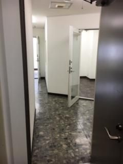  | レモンヤビル