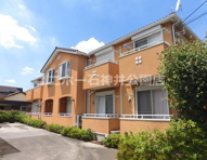 フラットコートＢの画像