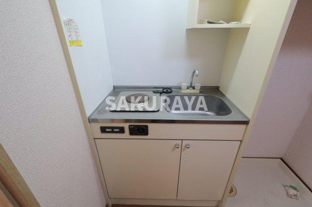 エンパレス　レオ　V22のキッチン|2025年6月撮影。