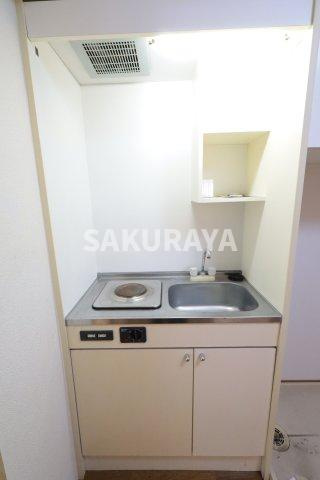 エンパレス　レオ　V22のキッチン|2025年6月撮影。