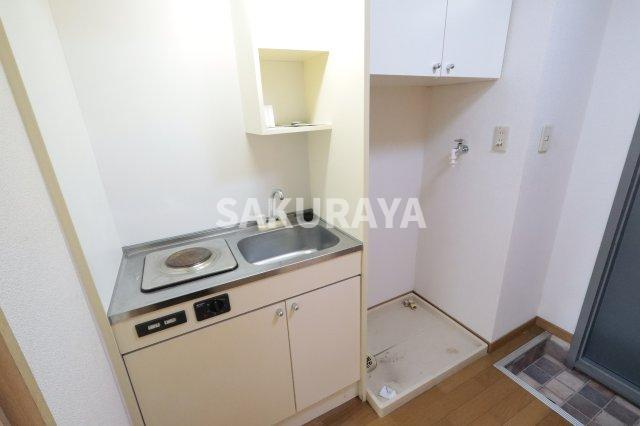 エンパレス　レオ　V22のキッチン|2025年6月撮影。