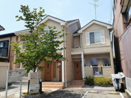 セレッソの画像