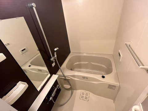 シャインキャッスルの浴室