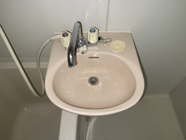 ツーバイフォー栗山の洗面所