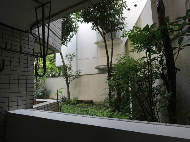 カルクス白山の展望
