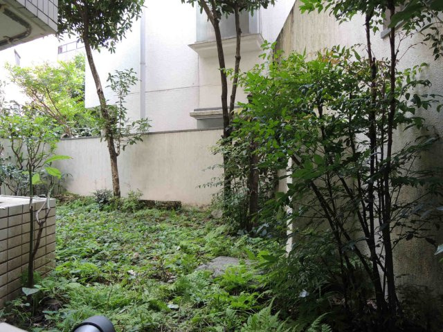 カルクス白山の展望