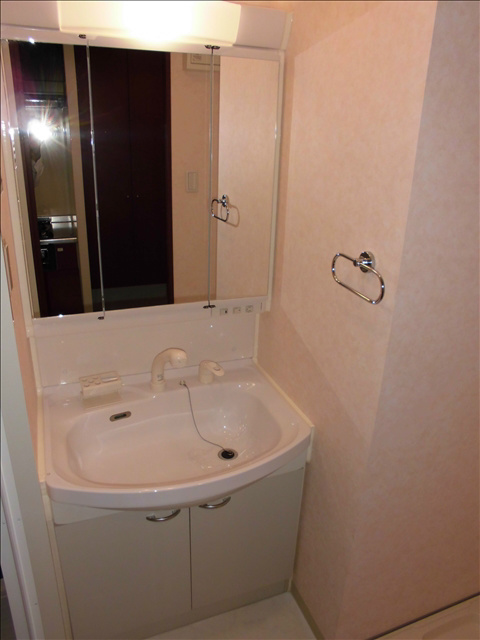 向山ヒルズの洗面所