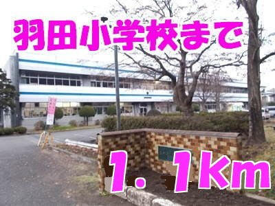 ビッグ　シャトーＡの周辺|羽田小学校まで1100m