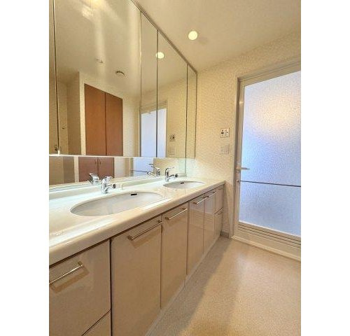 ルネヒューマンズガーデンパラディオB棟の独立洗面台