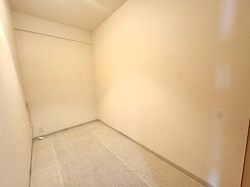 ルネヒューマンズガーデンパラディオB棟の収納