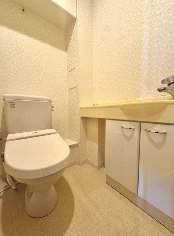 ルネヒューマンズガーデンパラディオB棟のトイレ