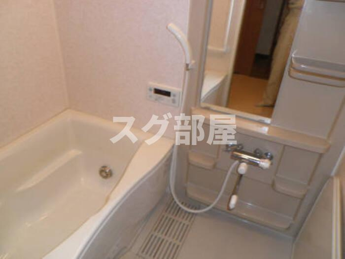 エール豊岡の洗面所